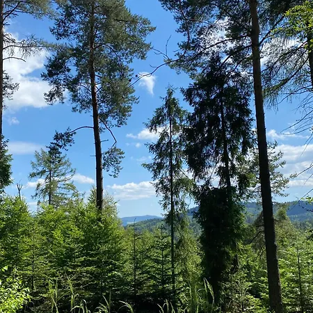 35 Oda ve Kahvaltı Żegiestów